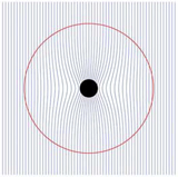 Monolithic collapse of a weakly magnetized cloud to form black holes