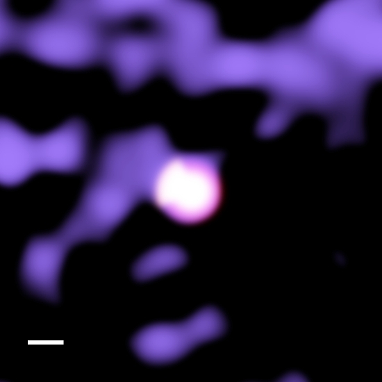 Correlation between the temperature of the intra-cluster medium of galaxy cluster A1689 and its surrounding environment of the large-scale-structure.