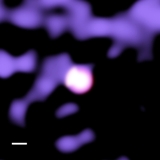 Correlation between the temperature of the intra-cluster medium of galaxy cluster A1689 and its surrounding environment of the large-scale-structure.