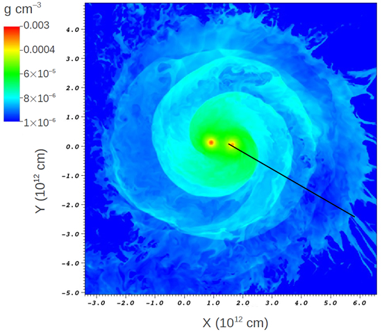 AMR Study of the Common Envelope Phase of Binary Evolution