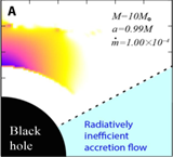 Lightning black holes in dense molecular clouds